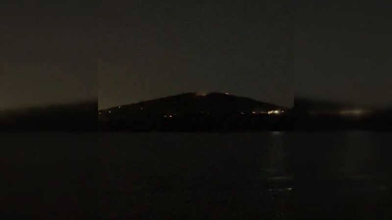 Heybeliada'daki yangın söndürüldü