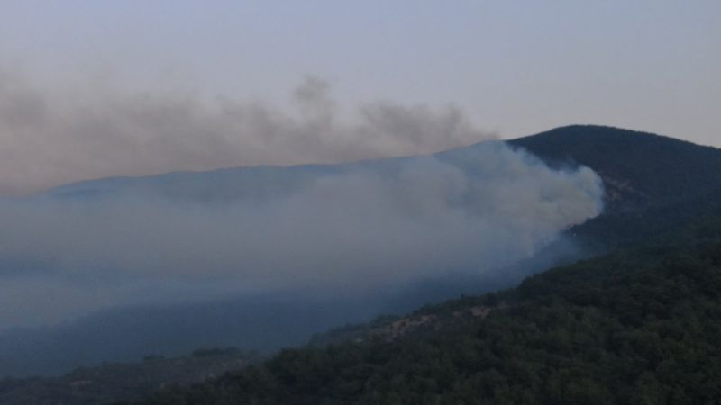 Kaz Dağları’nda yangın devam ediyor