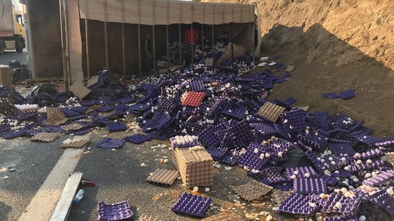 Riva'da yumurta yüklü kamyon devrildi