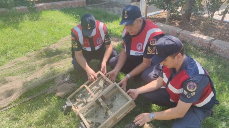 Kahramanmaraş'ta saka kuşu avlayanlara 43 bin lira ceza