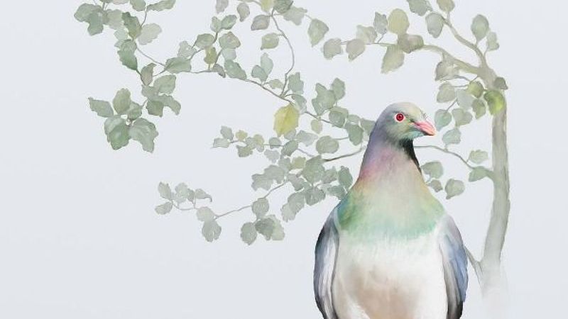 Dünya Barış Günü'nde Türk şairlerin barış temalı şiirleri