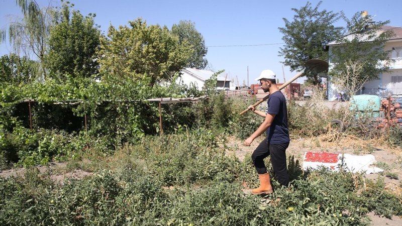 Muş'ta tarlada çalışan genç, Tıp fakültesini kazandı