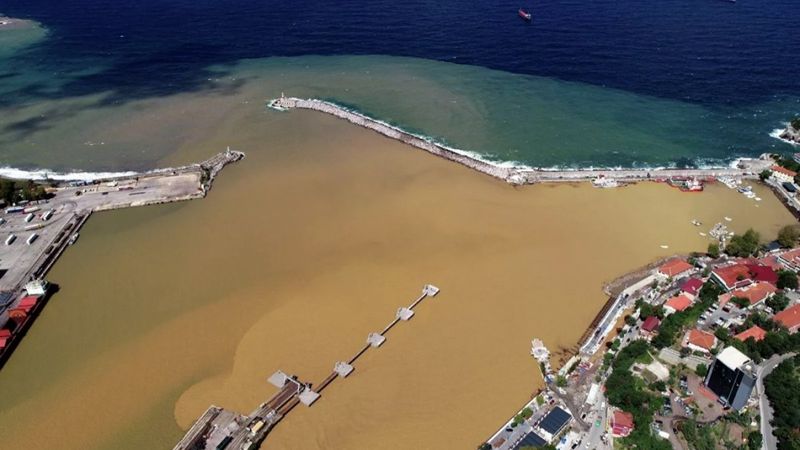 Zonguldak'ta denizin rengi değişti