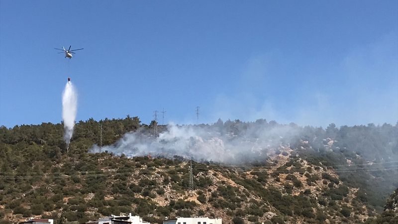 Bodrum’da orman yangını