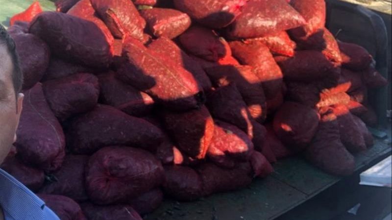 Bayrampaşa'da  6 ton kaçak midye yakalandı