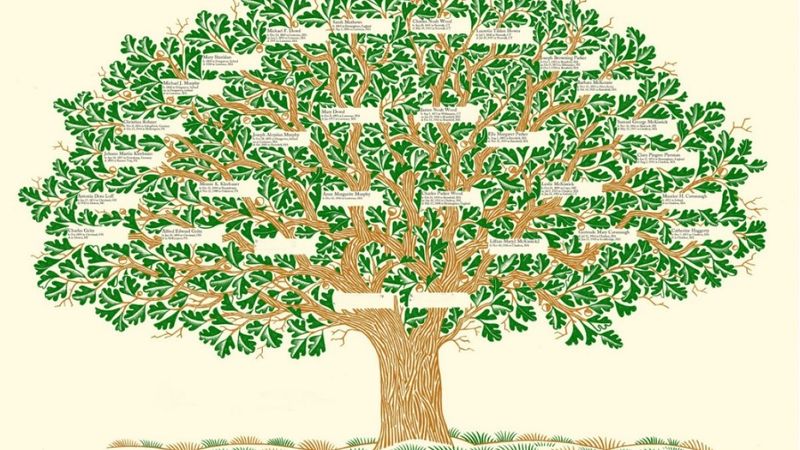 Soyağacı hizmetinde yeni uygulama başladı