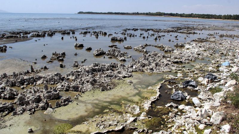 Van Gölü alarm veriyor: Çekilme 1 kilometreyi aştı