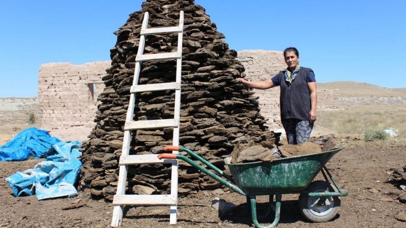 Sivas'ta kış için tezek hazırlığına başlandı