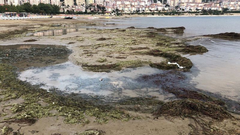 Isparta'da bulunan Eğirdir Gölü'nde lağım borusu patladı