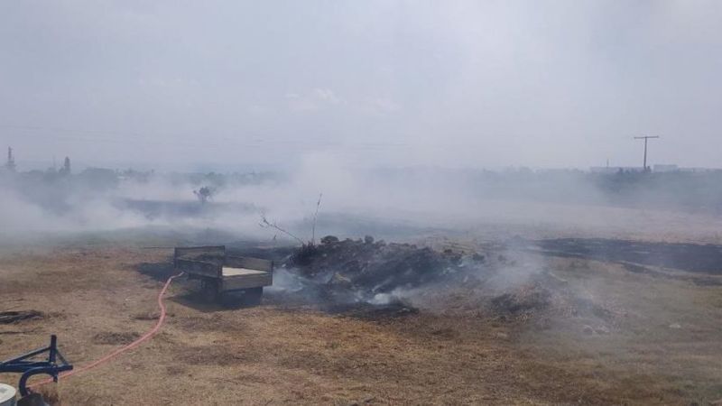 Mersin'de çıkan yangın evlere ulaşmadan kontrol altına alındı