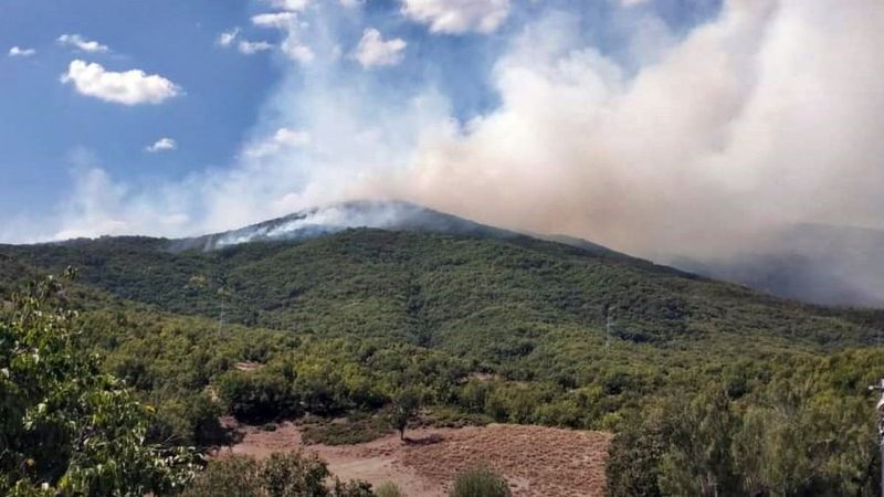 Tunceli'de çıkan örtü yangınına havadan müdahale sürüyor