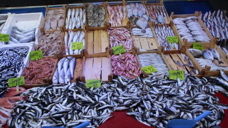 Bilecik'te halk balık tezgahlarına koştu: Palamut yok denecek kadar az