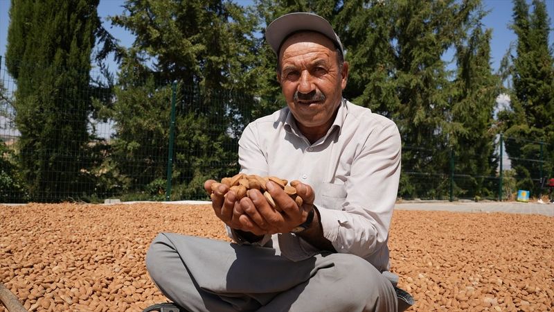 Adıyaman bademi global bir markaya dönüşecek