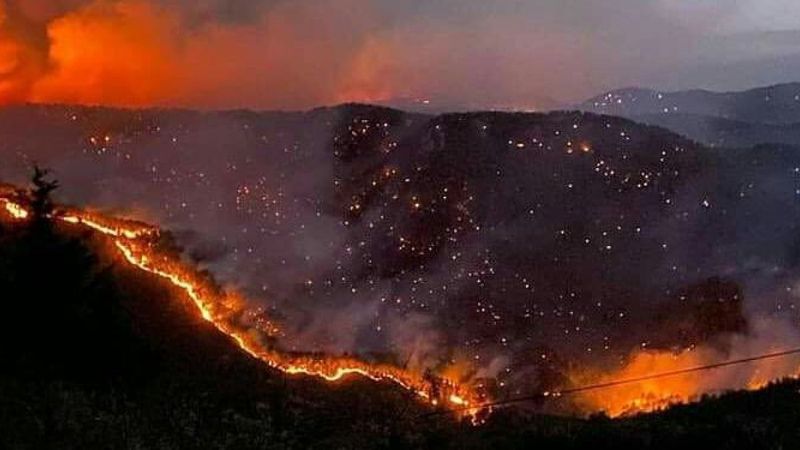 Antalya ve Muğla'da yangından zarar gören 1100 bina yıkıldı