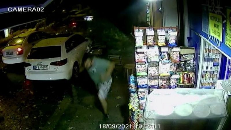 Beykoz’da fırtınanın devirdiği ağaçtan son anda kurtuldular