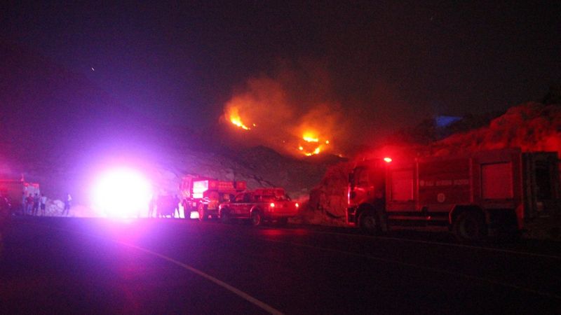 Muğla'da çıkan yangın söndürüldü