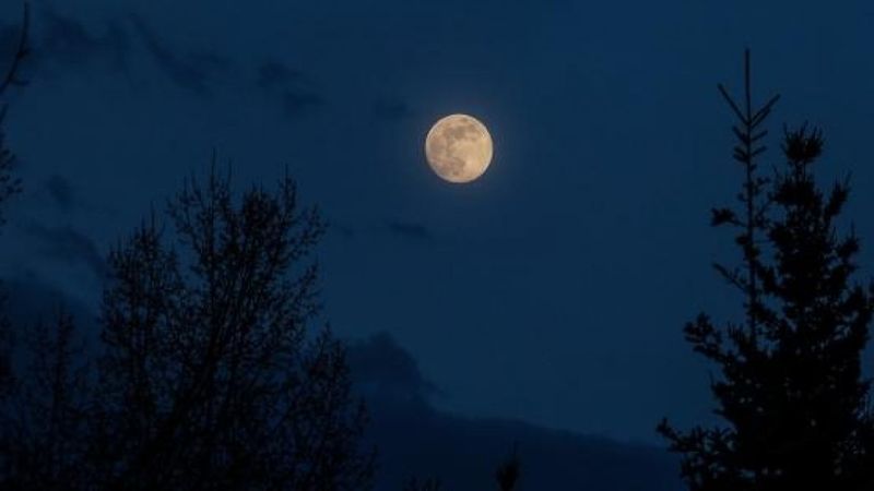 Dolunay Balık'ta! 21 Eylül Dolunay'ın burçlara etkileri