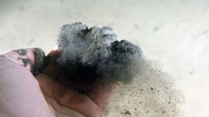 Uzmanlar uyardı: Marmara'da Kasım ayında müsilaj tekrarlayabilir