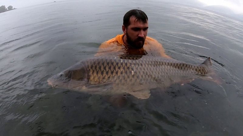 Sakarya'da sezonun rekoru kırıldı: 23 kiloluk sazan balığı yakaladı