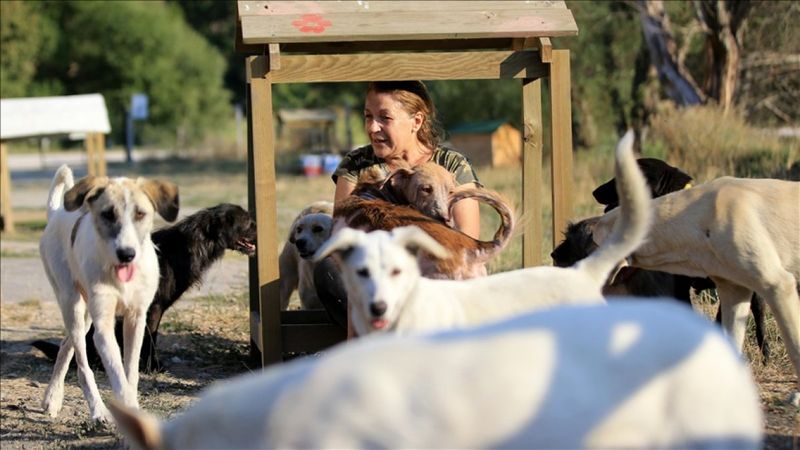 Kırklarelili terzi, sokak hayvanları için dükkanını kapattı