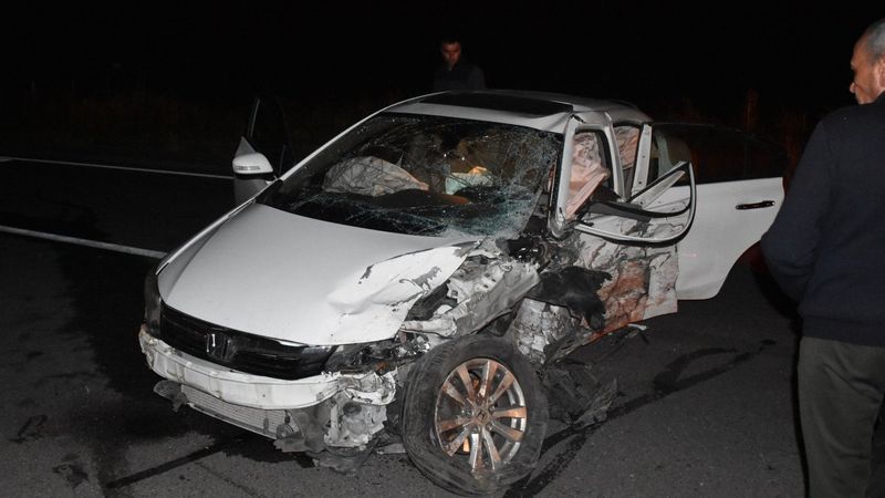 Sivas'ta yola çıkan domuz sürüsü kazaya neden oldu