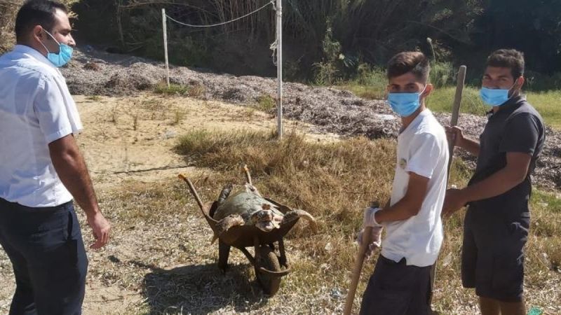 Muğla'da deniz kirliliği caretta carettanın ölümüne neden oldu