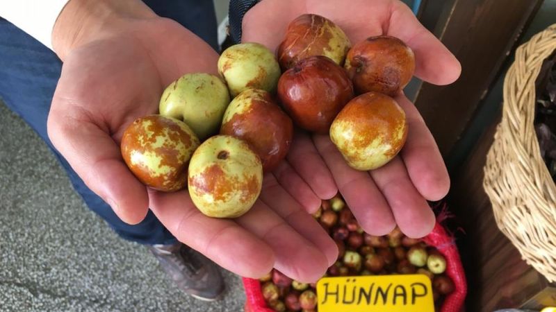 Eskişehir'de sezonu başlayan hünnapa ilgi yoğun