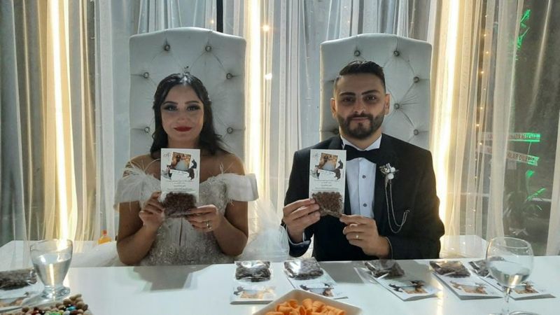 Osmaniye'de evlenen çift, sokak hayvanlarını unutmadı