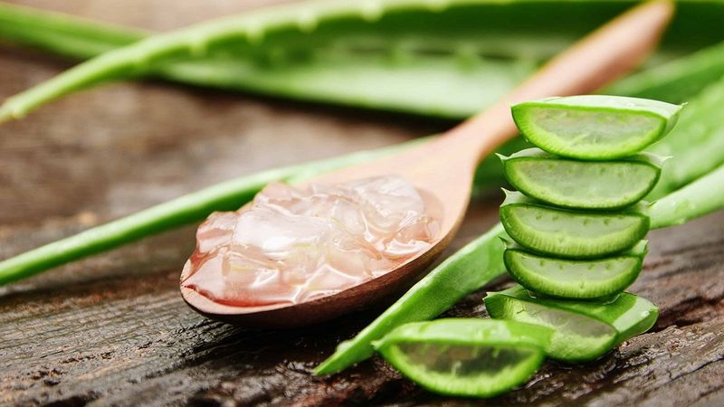 Aloe vera bitkisi nasıl yenir? İşte tüketebilmeniz için 5 yöntem