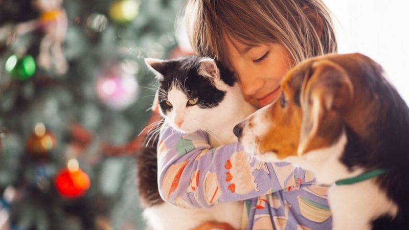 Siyaset dünyasından 'Hayvanları Koruma Günü' mesajı