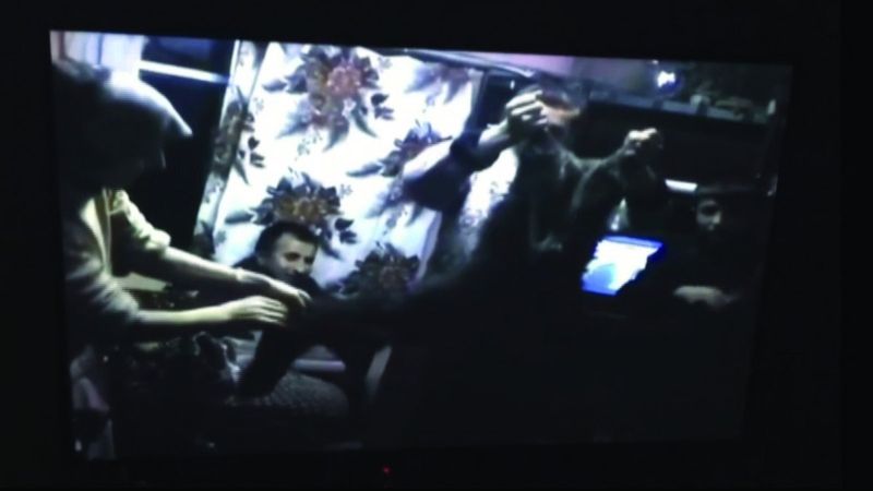 Zonguldak’ta ayıyı katleden kardeşlere para cezası