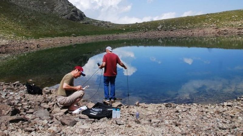 Türkiye'de 41 yeni alg türü bulundu