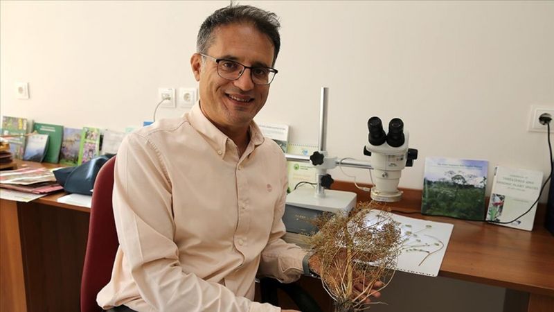 Bilim insanlarının ısrarlı araştırmasıyla Kaz Dağları'nın endemik bitkisi yeniden bulundu