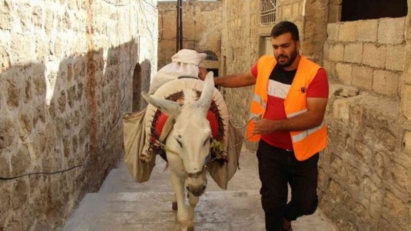 Mardin'de eşekler, restorasyon çalışmalarında da mesaide
