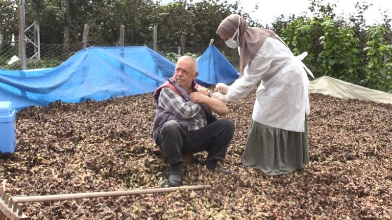 Ordu'da başlatılan aşı seferberliği vaka sayılarını düşürdü