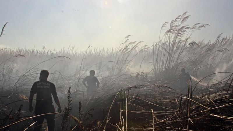 Antalya'da sazlık alanda çıkan yangın kontrol altına alındı