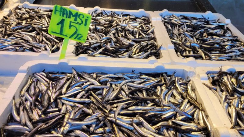 Karadeniz'de havalar soğudu, hamsiler tezgahları doldurdu