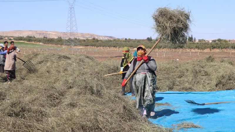 Gaziantep'te nane hasadı sürüyor