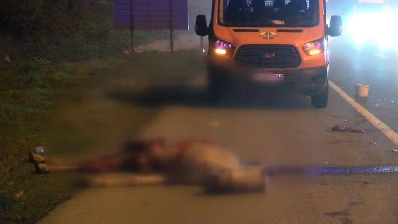 Eyüpsultan'da taksi ata çarptı