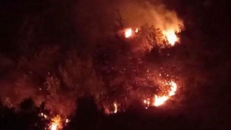 Hatay’da orman yangını