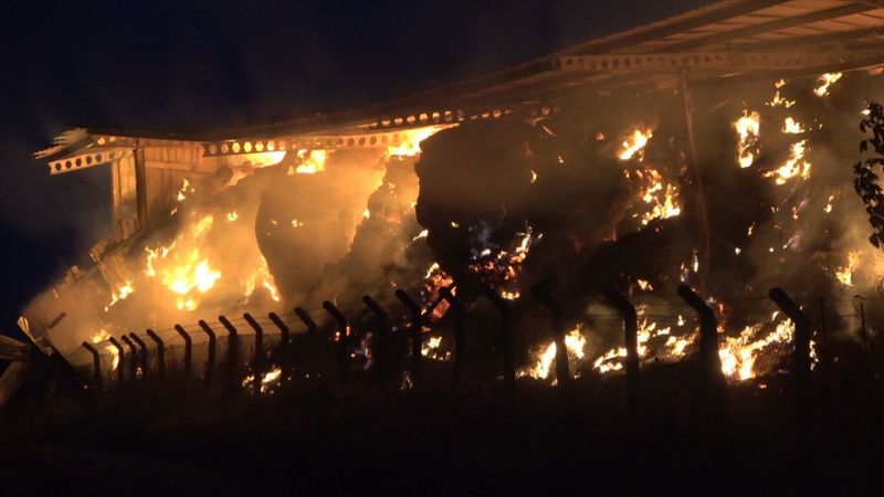 Kırklareli’nde hayvan çiftliğinde yangın çıktı