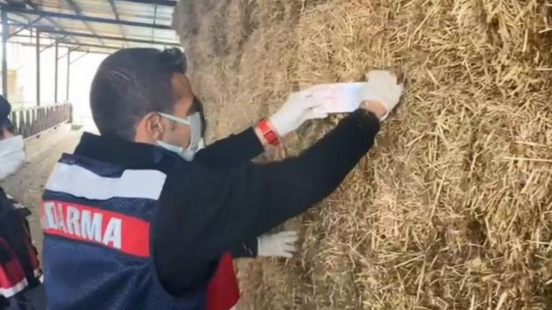 Bursa'da çalınan para ve çekler, saman balyasından çıktı