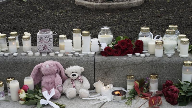 Norveç'teki saldırganın akıl sağlığının yerinde olmadığı açıklandı