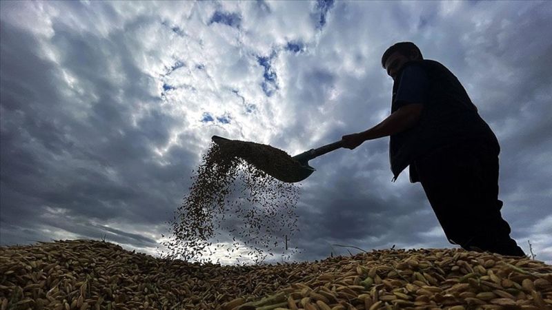Çiftçilere destek ödemesi: 55 milyon 289 bin TL bugün hesaplara yatıyor