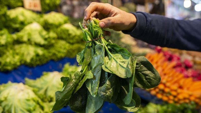 Ispanak ile benzeşen zehirli güzel avrat otu nasıl fark edilir