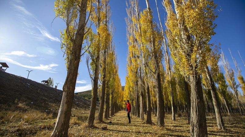 Erzurum'un Tekederesi, ziyaretçilerini sonbahar renkleriyle karşıladı