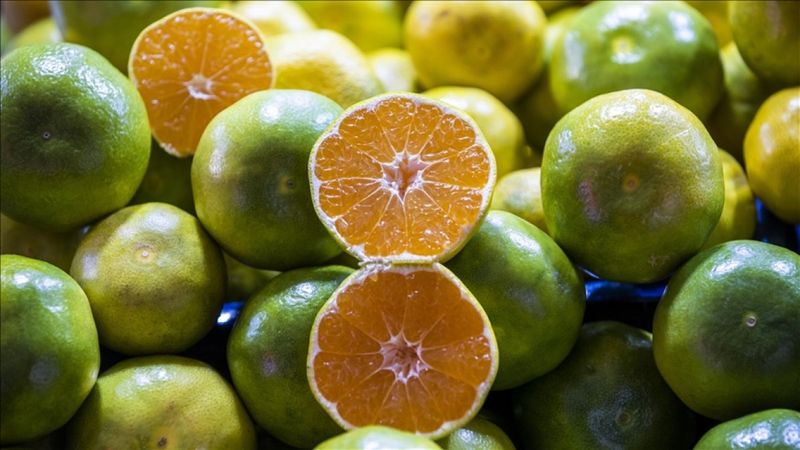 Türkiye hangi ülkeye hangi ürünü satıyor