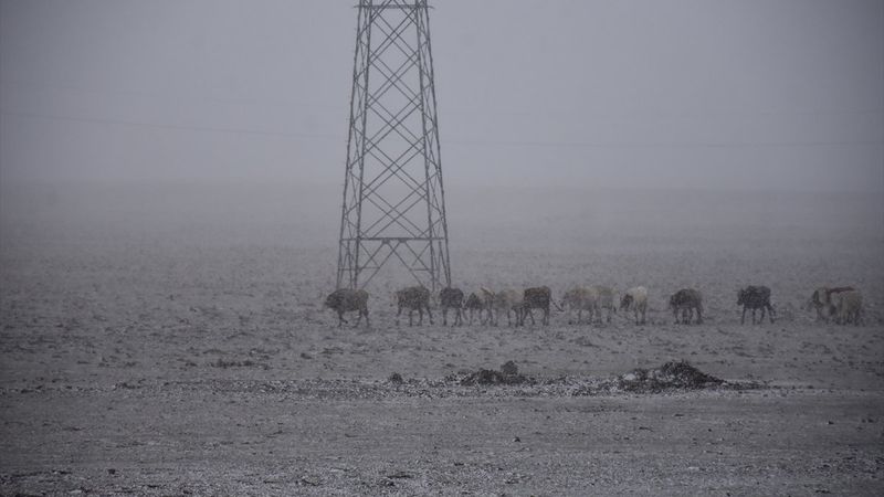 Erzurum ve Kars kara teslim oldu