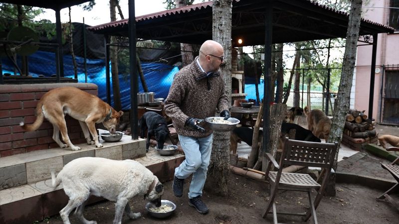 Sokaktan kurtardığı onlarca hayvan için İstanbul'dan köye taşındı