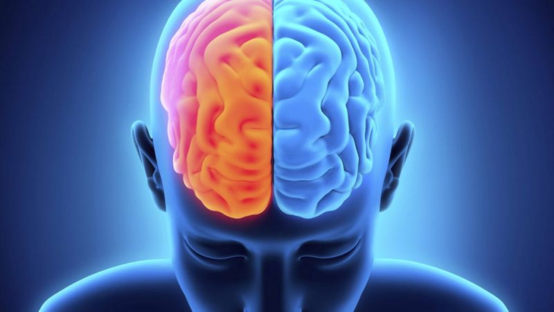 İnsanların beyni 3 bin yıl önce küçüldü